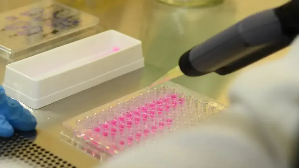 Vírus zika pode voltar a se replicar após recuperação, aponta estudo da UFRJ