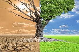 Emergências Climáticas e os Impactos na Saúde