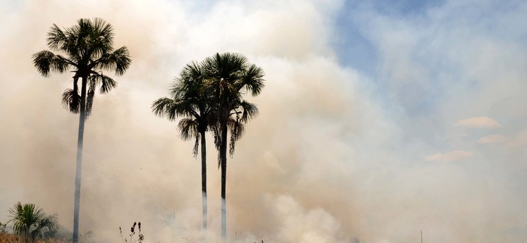 Fumaça dos incêndios pode ser mais prejudicial às crianças, idosos, gestantes e pessoas com comorbidades