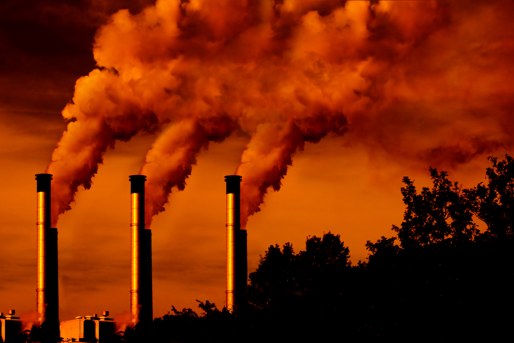 Poluição e crise climática: especialistas alertam para urgência de soluções globais