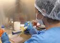 Fiocruz apresenta estudos sobre doenças negligenciadas e Covid-19 em reunião da Rede Pasteur