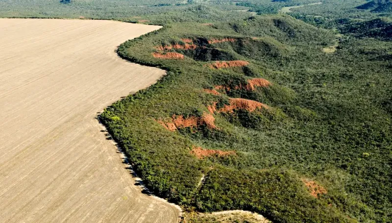 Desmatamento diminui no Cerrado e na Amazônia, mas ainda está longe da meta zero