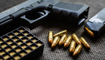 CCJ do Senado altera reforma tributária, tira imposto das armas e inclui erva-mate na cesta básica