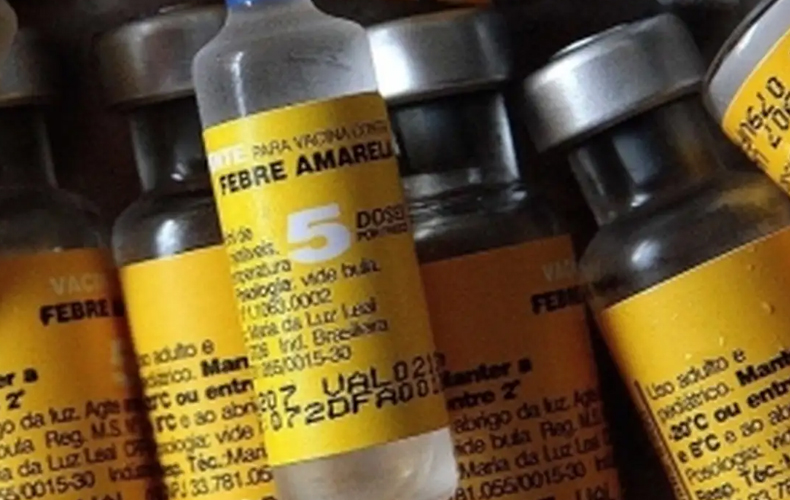  Saúde confirma casos de febre amarela em macacos em município paulista