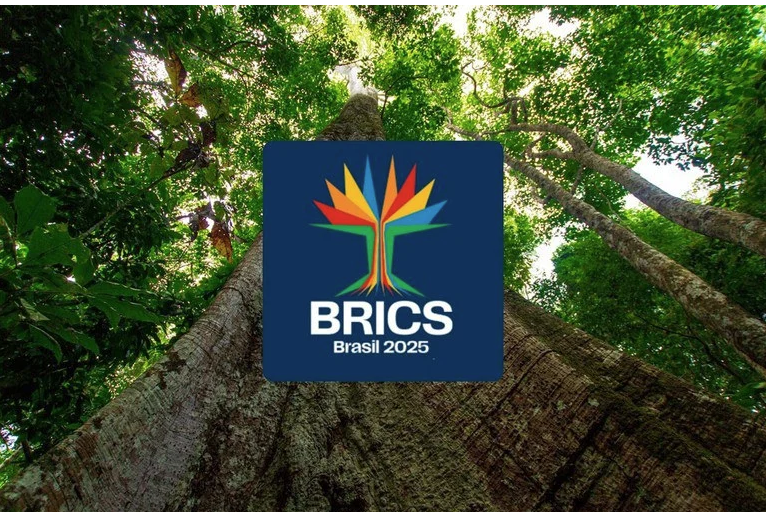 Cúpula do BRICS será no Rio de Janeiro, em 6 e 7 de julho