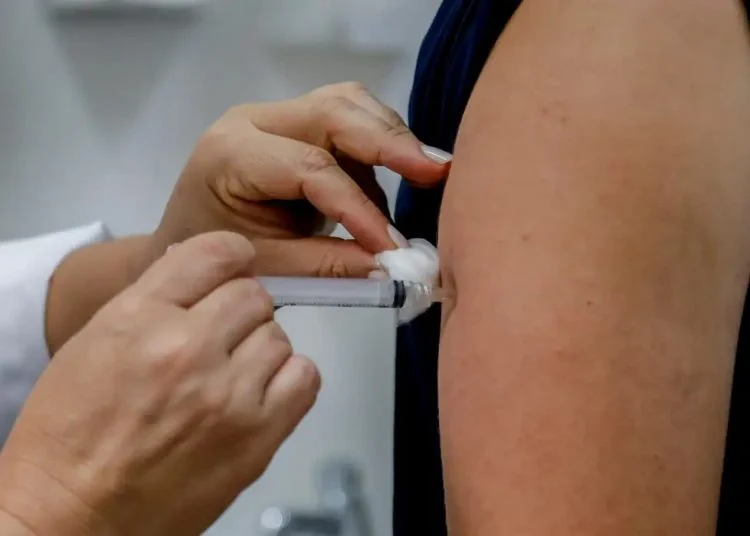 Vacina nacional contra a dengue: Brasil está mais perto da erradicação? 