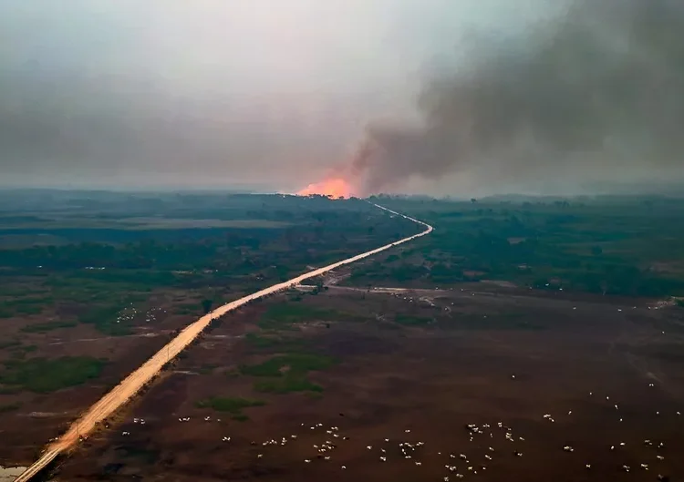 Perda de áreas com água no Brasil é agravada por crise climática e uso predatório, afirma professor