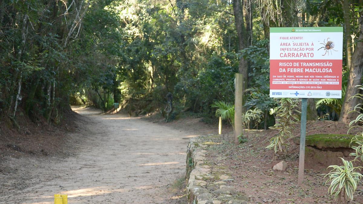 Saúde confirma as duas primeiras mortes no ano em decorrência da febre maculosa