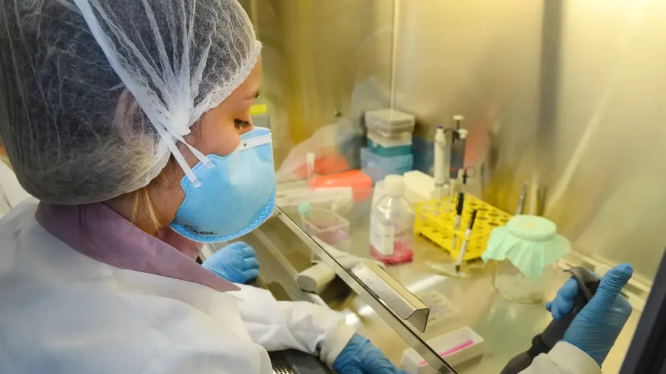  Vacina desenvolvida na USP protege contra infecção por Zika e previne danos cerebrais
