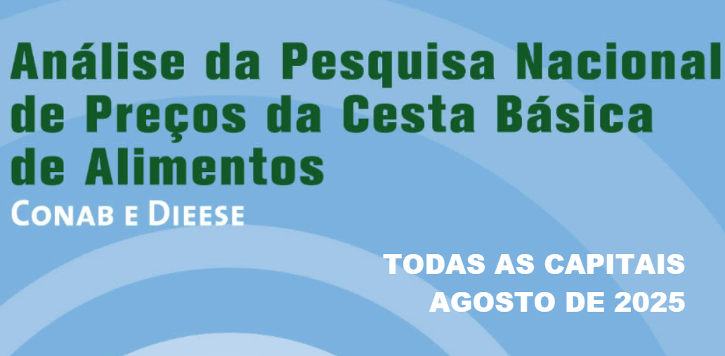  Custo da cesta diminui em 24 capitais em agosto, diz estudo do Dieese