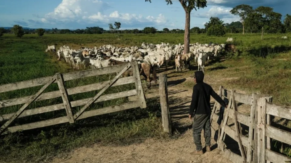  Novos casos reforçam elo entre trabalho escravo e maiores frigoríficos do país