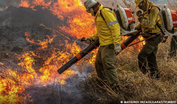 Pré-COP: Brasil propõe resposta global a incêndios florestais