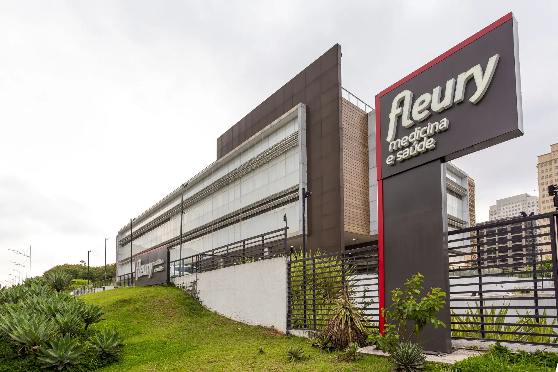 Rede D'Or desistiu de comprar Fleury? FLRY3 diz que não há decisão, mas ação cai 4,3%