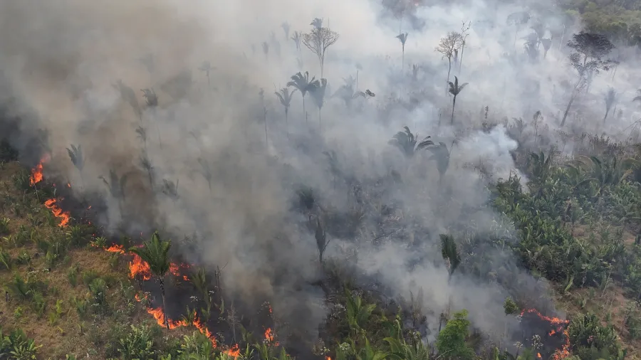 Amazônia bate limite de 1,5ºC acima da temperatura média pela primeira vez