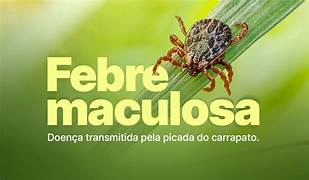 Febre maculosa causa mais duas mortes no interior de São Paulo