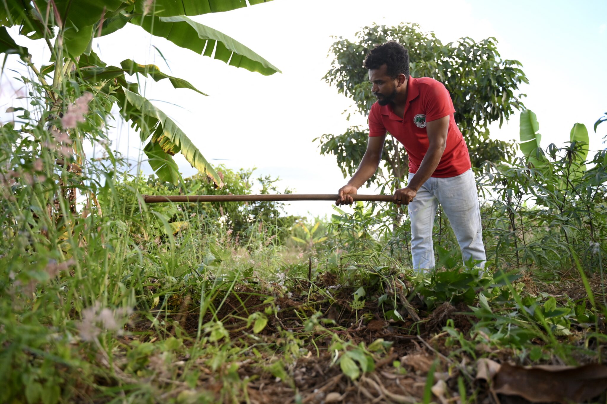 Governo Lula assina decreto para desapropriação de sete fazendas para reforma agrária no Brasil