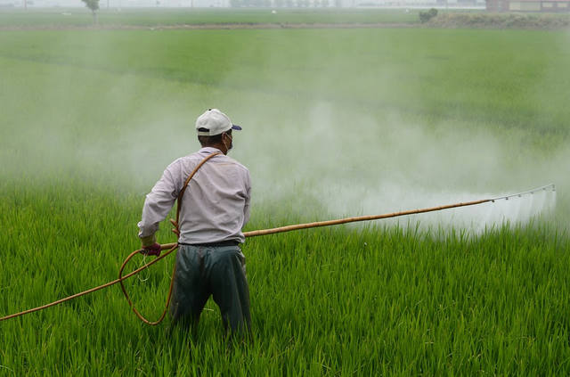 Anvisa proíbe agrotóxico carbofurano por danos à saúde