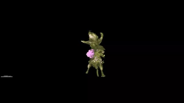 Imagens em 3D mostram com alta precisão como o câncer avança no corpo de um camundongo