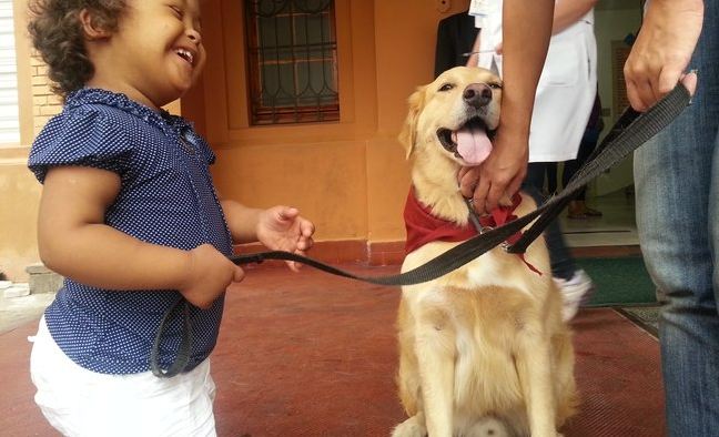 'Cãoterapia' ajuda crianças a responderem melhor ao tratamento hospitalar
