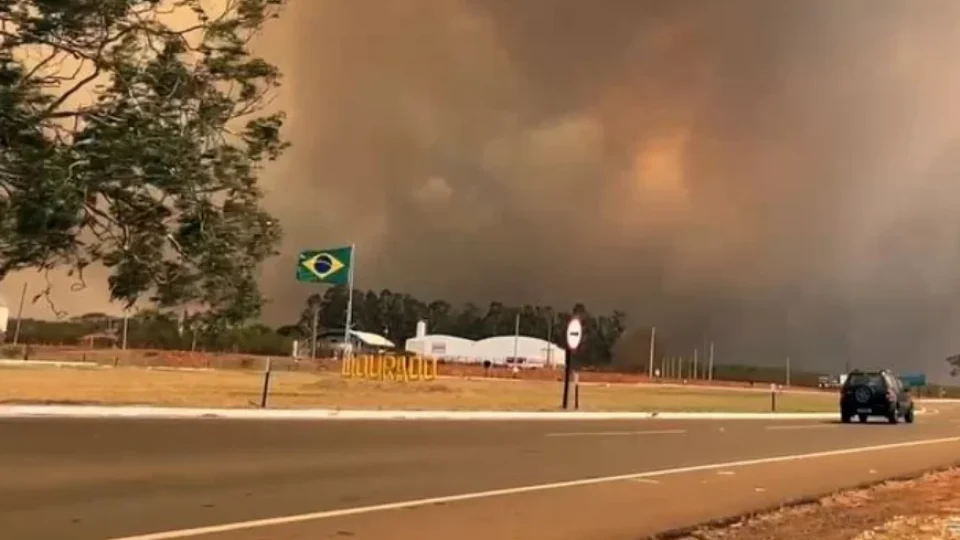 Enquanto queimadas caem no Brasil, São Paulo registra alta