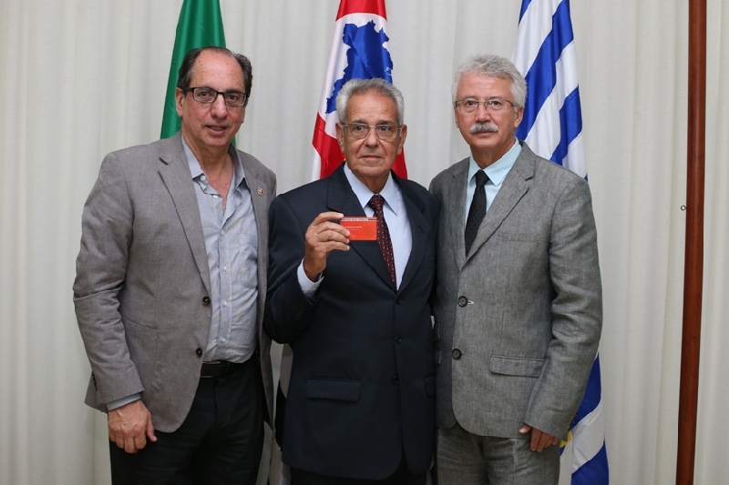Foto 45