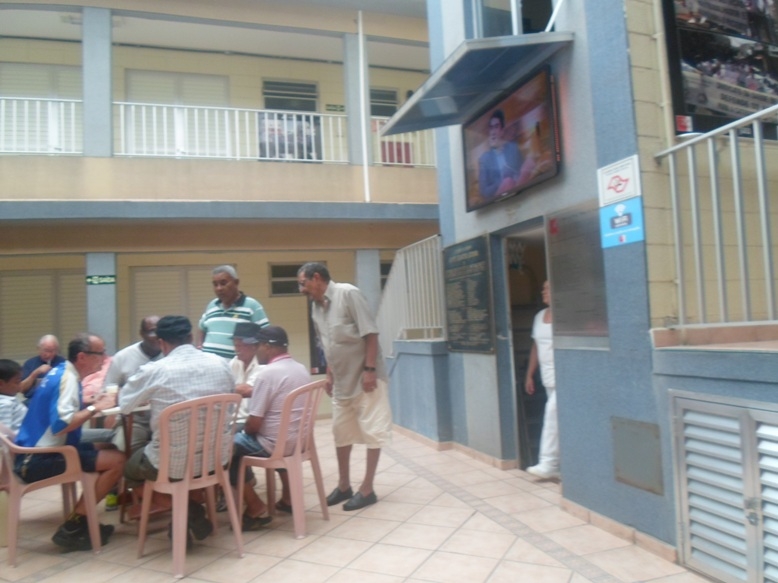 Foto 6