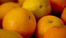 Frutas ficam mais caras em quase todas as Ceasas, diz relatório da Conab