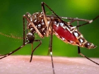 Planos de saúde terão que pagar exames de Zika a partir de hoje