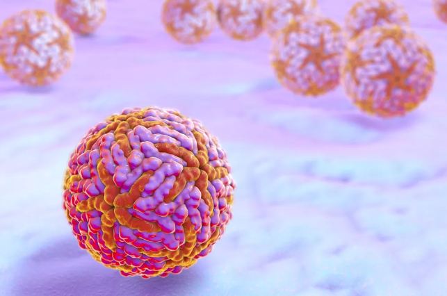 Estudo analisa relação entre o zika e problemas de visão em bebês