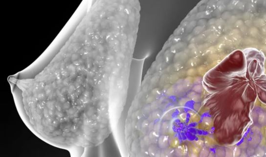 Pesquisa identifica 27 genes que podem prevenir alguns tumores